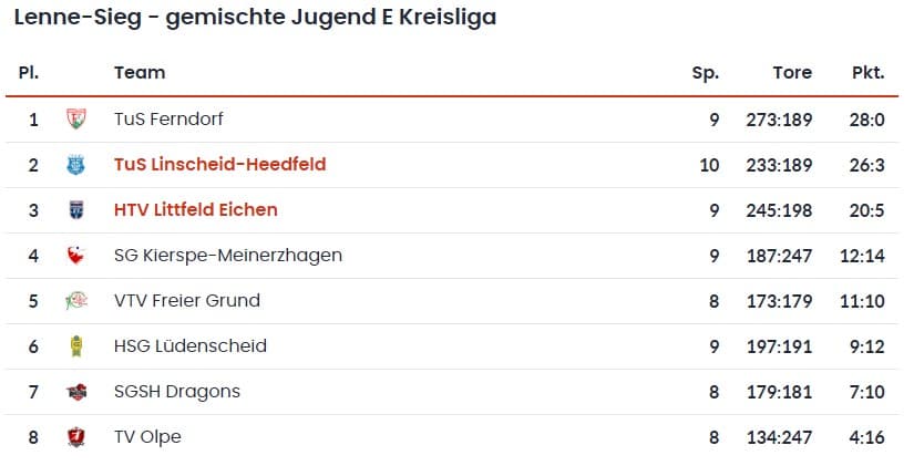 E1 Auswärtssieg beim schweren Auswärtsspiel in Littfeld - Bild 1